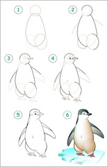 Obraz premium Page shows how to learn step by step to draw a penguin. Developing children skills for drawing and coloring. Vector image.