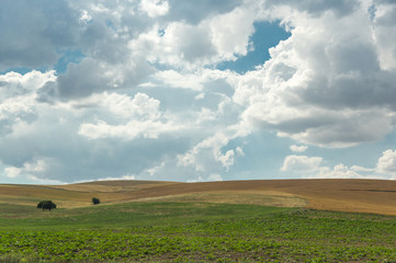 Fototapeta premium Rural landscape in Cappadocia, Turkey