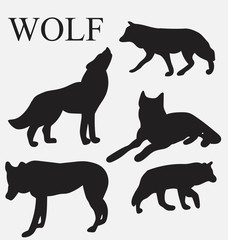 силуэт волка