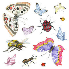 Obraz na płótnie Canvas Watercolor insects set