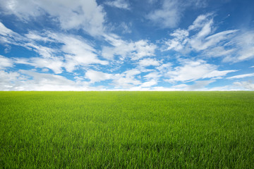 Lawn with sky