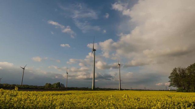 rapsfeld mit windraeder zeitraffer