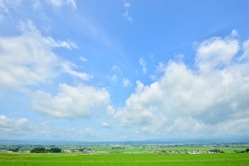 大空と田園のある風景