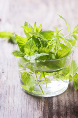 Green fresh mint on the wooden table