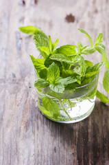 Green fresh mint on the wooden table