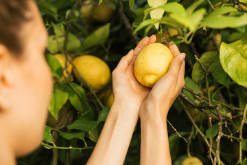 Woman holding a lemon from the tree