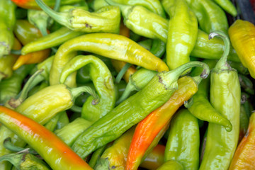 Green chili pepper high contrast background