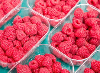 Red raspberries in boxes at local farm market.