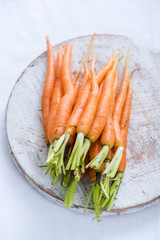 young vibrant carrots on rustic board