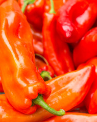Red chili pepper high contrast background