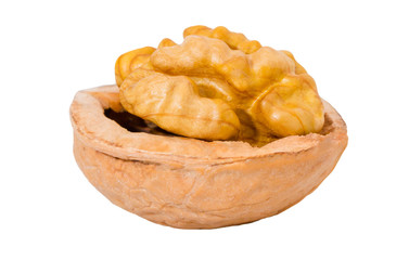 Walnuss offen - Walnut open