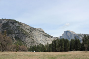 Fototapeta premium ヨセミテｔ国立公園の雄大な自然