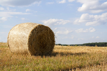 Straw bales in fields farmland with blue cloudy sky at harvesting time