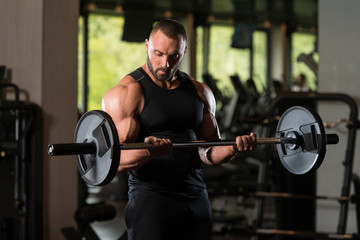 Muscled Male Model Exercising Biceps With Barbell