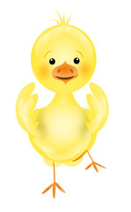 Small yellow chicken