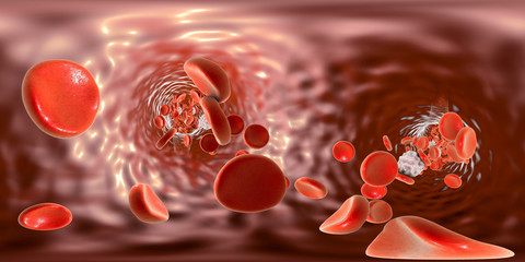 Full spherical panorama 360 degree view inside blood vessel showing red blood cells and white blood cells. 3D illustration