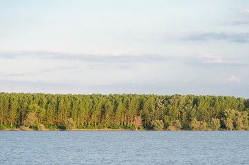River shore with green trees and bushes at sunset