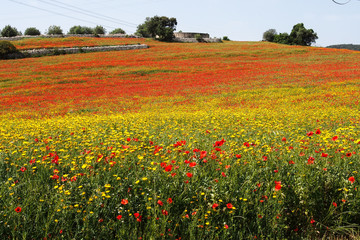 Sizilien - Pantalica