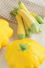 zucchini　ZEPHYR and UFO