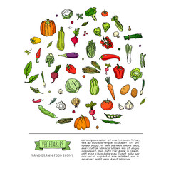 Hand drawn doodle seasonal vegetables icons set. Vector illustration. Carton food symbols collection. Isolated on white background. Sketchy style: tomato, potato, cabbage, squash, pepper, corn, carrot