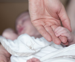 A newborn baby's hand holdind parent's finger