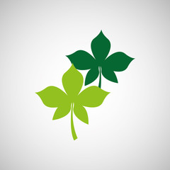 nature leaf green ecology botany