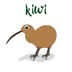 doodle art print of kiwi bird hand drawing for your design illustration