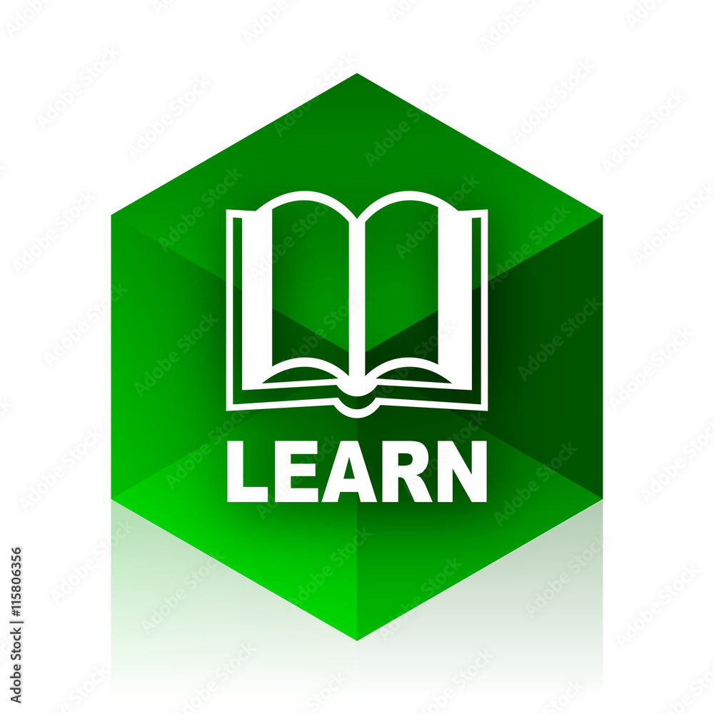 Poster learn cube icon, green modern design web element