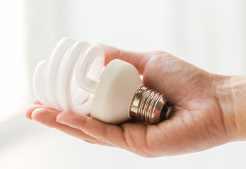 close up of hand holding energy saving lightbulb