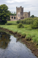 Tintern Abbey -  County Wexford - Ireland.