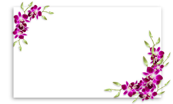 Fototapeta Orchid flowers frame with white copy space.