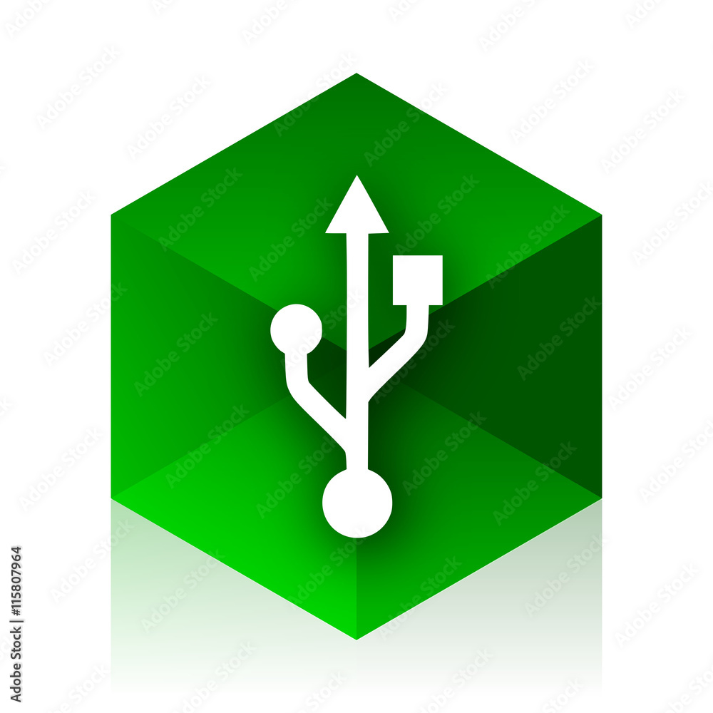 Poster usb cube icon, green modern design web element