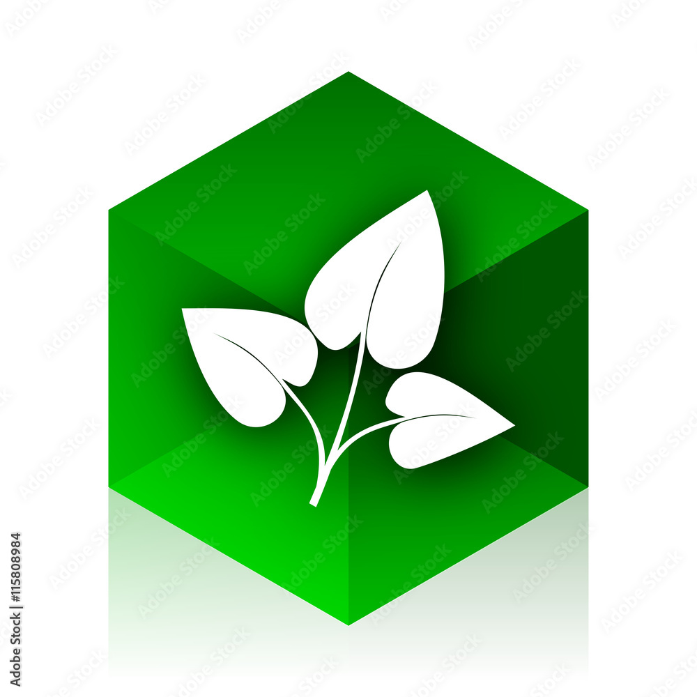 Poster leaf cube icon, green modern design web element