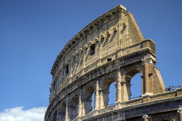 Fototapeta premium Colosseum - landmark of Rome, Italy.