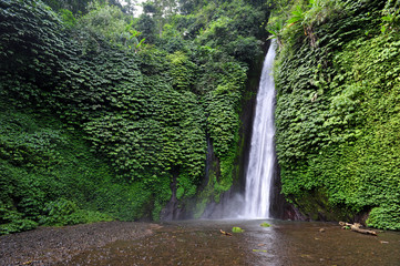 Fototapeta na wymiar Nungung waterfall in Bali