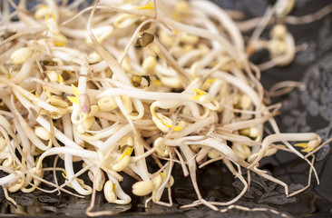 Mung sprouts