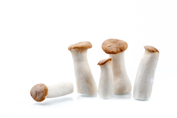 King Oyster mushroom (Eringi) on white backgroud.