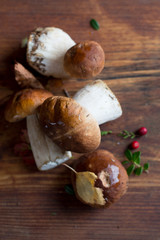 Mushroom boletus on wooden background