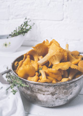 Chanterelles on vintage white wooden background top view, healthy food on table mockup, orange mushrooms isolated on rustic board, fresh forest nutrition mock up closeup, copy space for text message
