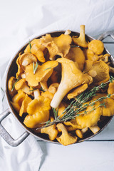 Chanterelles on vintage white wooden background top view, healthy food on table mockup, orange mushrooms isolated on rustic country board, forest nutrition mock up closeup, copy space for text message