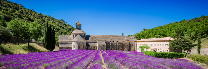Lavendelvelden voor de abdij van Notre-Dame-de-Sénangue