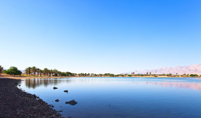  oasis in the south of Israel