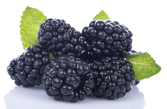 Tasty fresh blackberries