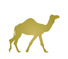 kamel silhouette