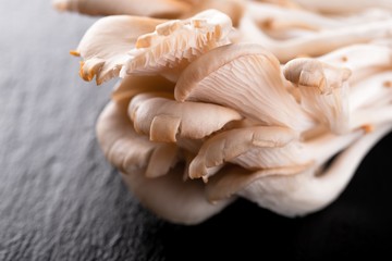 Fototapeta na wymiar Detail of healthy Oyster mushroom placed on slate stone