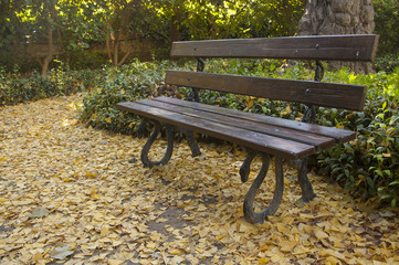Banco y hojas caidas en jardin