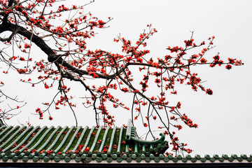 the roof of the house with a beautiful flower, white background