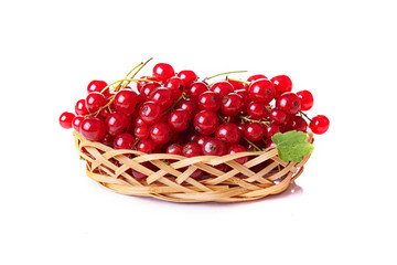 red currant