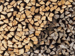 Holzscheite mit unterschiedlicher Lagerungsdauer