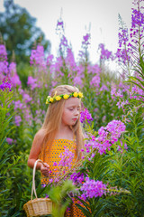 beautiful girl with long hair on head wreath, pick flowers in the field in the basket and sniffing them with his eyes closed.